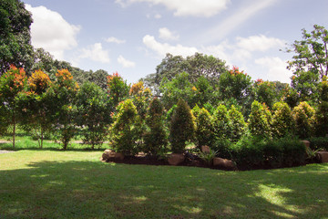 Diseño Jardines Online Diseño Jardines Online